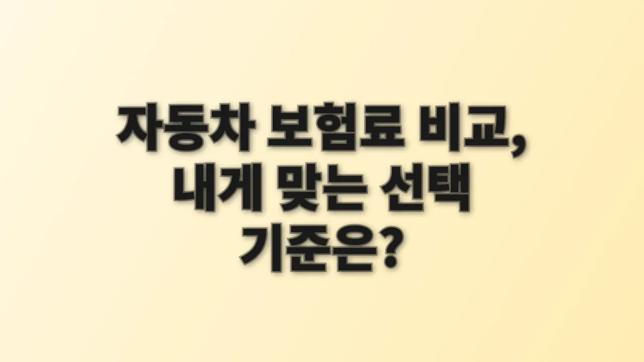 자동차 보험료 비교, 내게 맞는 선택 기준은?